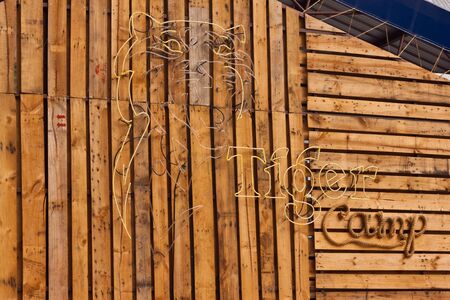 tiger campのeditorial素材