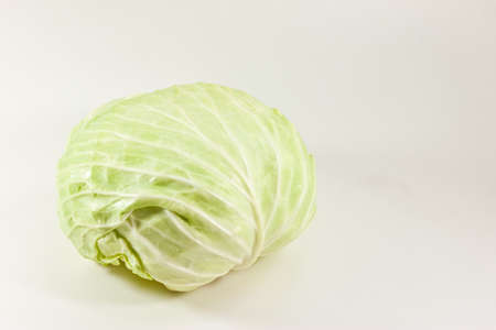cabbage on white paperの写真素材