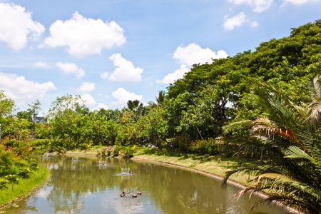 landscape in thailandの写真素材