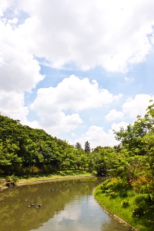 landscape in thailandの写真素材