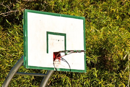 Basketball hoop in gardenの写真素材