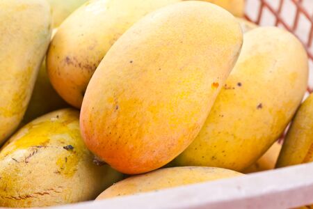 mango ripe