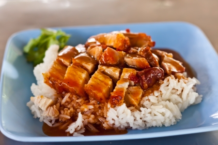Rice with roasted porkの写真素材