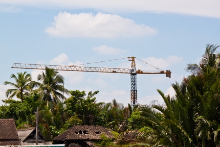 craneの写真素材