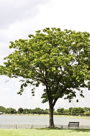 landscape in cityの写真素材