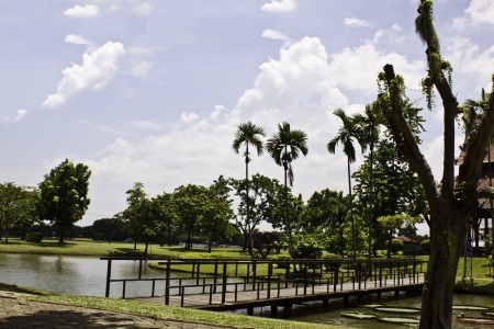  landscape in gardenの写真素材
