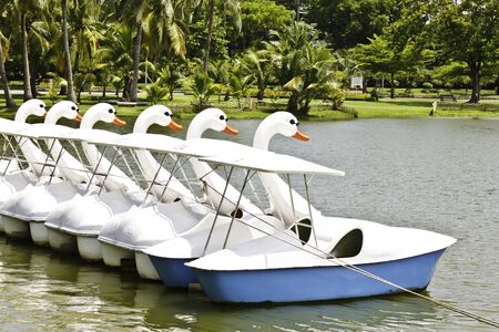 swan spin boatの写真素材