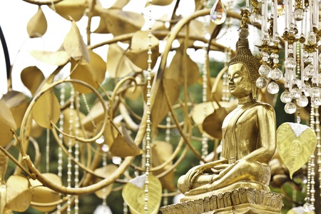 beauty of Buddha statue in thailand