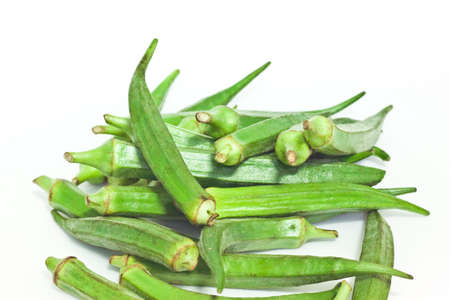 vegetables on white paperの写真素材