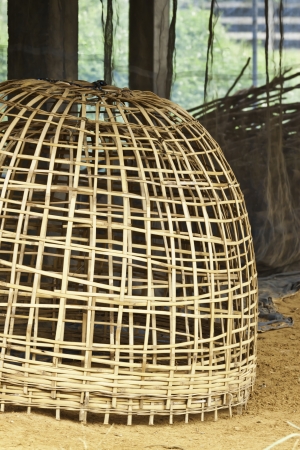 the cageの写真素材