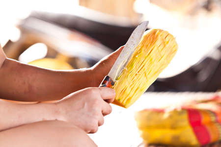 Chopped papayaの写真素材