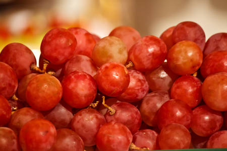 grapeの写真素材