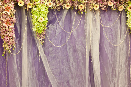 lovely backgroundの写真素材