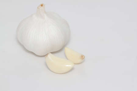 garlic on paper 