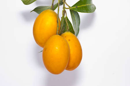 fruit on white backgroundの写真素材
