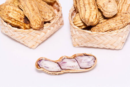 the peanuts on paper backgroundの写真素材