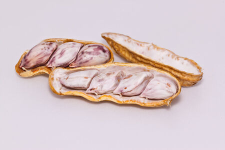 the peanuts on paper backgroundの写真素材