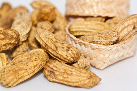 the peanuts on paper backgroundの写真素材