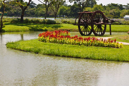 the lovely gardenの写真素材