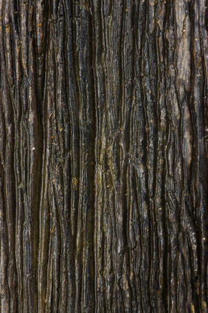 wood background