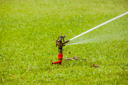 the sprinkler in gardenの写真素材