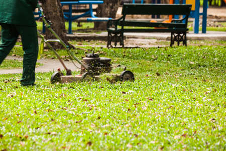 the gardener mowing in garden