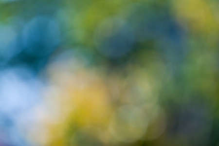 the blur backgroundの写真素材