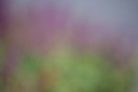 blur take by lens blurの写真素材