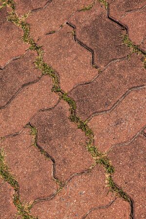 brick floorの写真素材