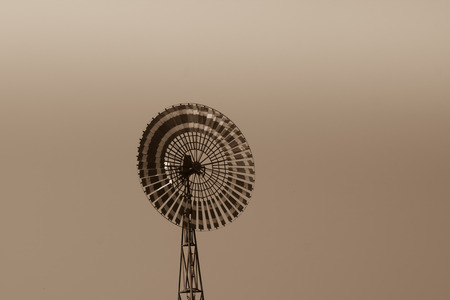 wild turbine in thailandの写真素材