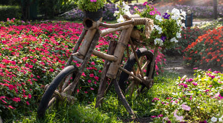 beautiful flower in gardenの写真素材