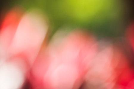 blur background take by lens blurの写真素材