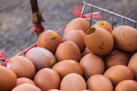 grilled Egg