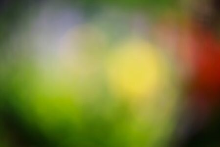 the light glow backgroundの写真素材