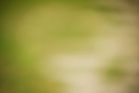 the light glow backgroundの写真素材