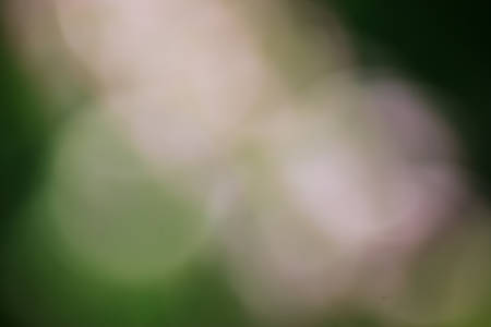 the light glow backgroundの写真素材