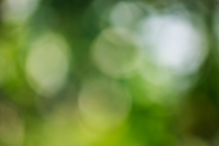 the light glow backgroundの写真素材