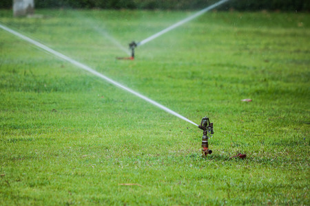 the sprinkler in gardenの写真素材