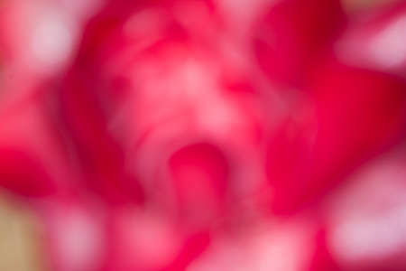 blur background take by lens blurの写真素材