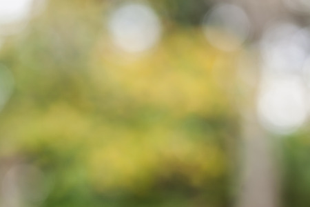 blur background take by lens blur