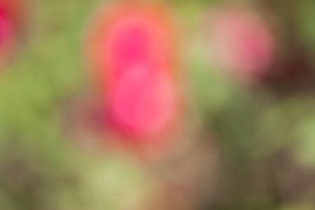 blur background take by lens blurの写真素材