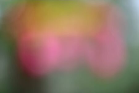 blur background take by lens blurの写真素材