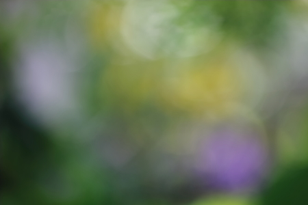 blur background take by lens blurの写真素材