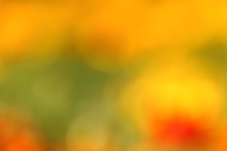 blur background take by lens blurの写真素材