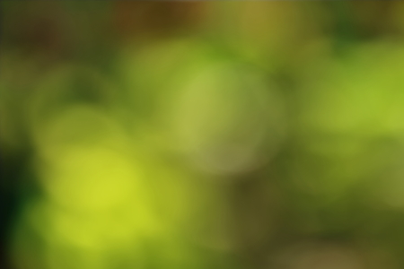 blur background take by lens blurの写真素材