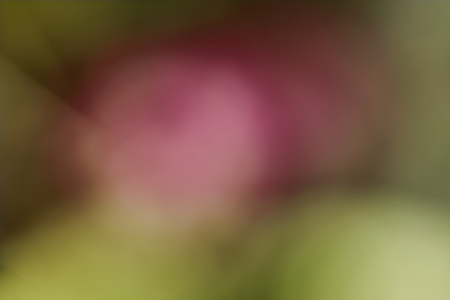 blur background take by lens blurの写真素材