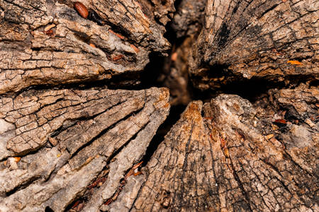 wood textureの写真素材