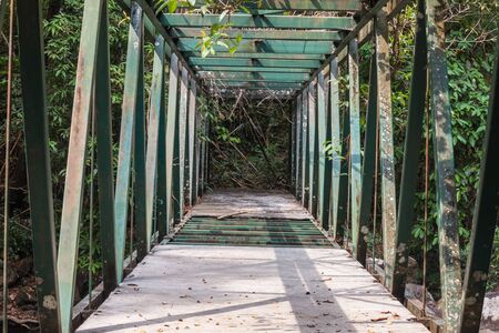 Old bridge in forestの写真素材