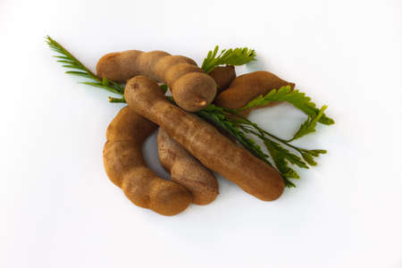 tamarind on paper backgroundの写真素材