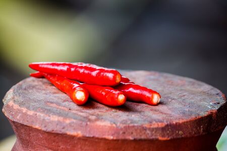 red chiliの写真素材